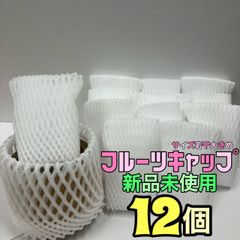 青果ネット　フルーツキャップ　緩衝材　保護ネット　あみあみ　白　ホワイト12枚