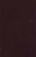 新品 染の安坊 手ぬぐい「無地 焦茶」 本染め 綿100% 特岡 日本製 35cm×100cm