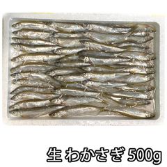 生 わかさぎ 500g 北海道産 天ぷら 唐揚げ ワカサギ （冷蔵便）