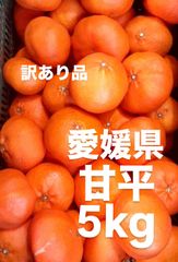 愛媛県　甘平　柑橘　 5kg