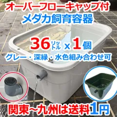 2025年最新】らんちゅう 舟の人気アイテム - メルカリ