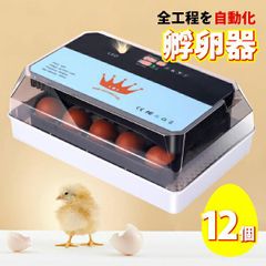 Item thumbnail for item 631c8e0b-590d-41c0-a205-7e2242adb601