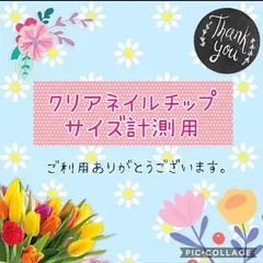 ネイルチップ・サイズ計測用・クリアチップ