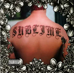 Sublime ピクチャーレコード Sublime 限定版 ピクチャーディスクレコード サブライム SUBLIME