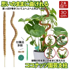 曲げられる ココスティック 2本 セット ココナッツ支柱 モンステラ支柱 30cm 観葉植物 モンステラ 支柱 園芸支柱 植物 ガーデニング用 モスポール 園芸用品