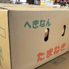 愛知・静岡産他　新玉葱　約3ｋｇ入りｘ1ケース