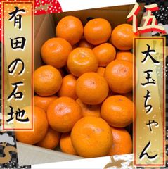いしじみかん　大玉　5キロ