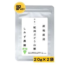 【訳あり】紀州ぶどう山椒（つぶ山椒）４０ｇ　和歌山　山椒　粒