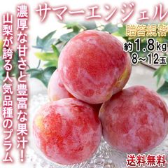 サマーエンジェル プラム 約1.8kg 8玉～12玉前後 すもも スモモ 山梨県産 秀品 濃厚な甘さと程よい酸味！果汁溢れる旬のフルーツ
