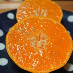 長崎 佐瀬みかん M～S 5kg 甘くて美味しい🍊