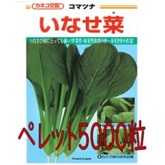 カネコ種苗　いなせ菜　小松菜　ペレット５０００粒