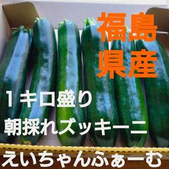 福島県産!朝採れズッキーニ!１キロ盛り