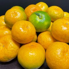 愛媛産　玉津みかん　小粒っこ家庭用3kg