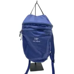 ARC'TERYX - 廃盤 アークテリクス ARC'TERYX INDEX 10