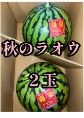 2025年最新】すいかの人気アイテム - メルカリ