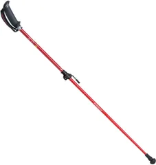 新品未使用　ウォーキングポール　スティック　QIANGSHENG SH_C3JTP31014_XL.jpg