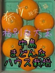 中島まどんな　赤秀大玉5L 3K化粧箱