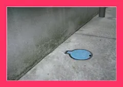 ワイエステック コンクリートクリーナー 1000ml