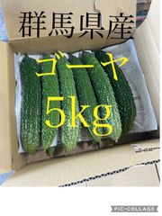 ☆訳あり　規格外　ゴーヤ　群馬県産　新鮮　5キロ☆