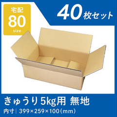 きゅうり ダンボール 5kg用 強化芯 40枚 ズッキーニ ゴーヤ 宅配80サイズ 胡瓜 ケース 段ボール ダンボール箱 通販 ワン サイズ