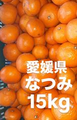 愛媛県産　なつみ　柑橘　15kg