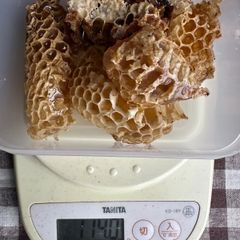 あかしあ巣蜜114g  巣みつ　ハチミツ　西洋ミツバチ　コムハニー
