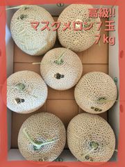 ayaka様専用です!!クール便