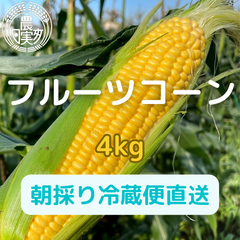 農業学校のフルーツコーン4kg朝採り直送 生でも甘い!【ご注文から1-3日で発送予定】