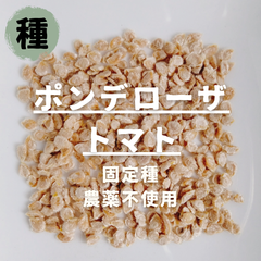 【種】トマト　ポンデローザトマト　農薬不使用　15粒