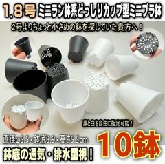 ◆平日＊日中注文即日発送-1.8号ミニミニラン鉢(ミニミニ蘭鉢)系どっしりカップ型＊高機能ミニプラ鉢-(φ5.5cm)黒と白を選べる-10鉢セット-鉢底の通気・排水重視＊多肉・塊根植物コーデックス・アガベ・アデニウム・パキポディウム・実生＠フラワーショップ江口