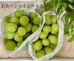 ⭐️Special price⭐️訳あり🍇シャインマスカット2房 *山梨県産＊東京から翌日配送地域限定