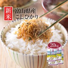 米 富山県産 こしひかり 20kg (5kg×4) 令和5年産 新米 お米 白米