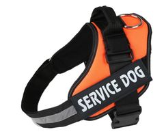 ハーネス　人気おすすめ　かっこいい　簡単装着　調整可能　小型犬　（オレンジ、S）
