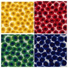 リバティ ザンジーサンビーム　生地幅×400cm 国産タナローン