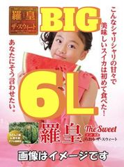 ６L・BIG「羅皇ザ・スイート」シャリ度NO1の農林水産大臣賞受賞