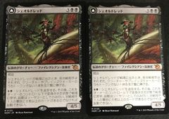 MTG　シュオルドレッド/真実の教典　2枚セット