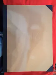 限定マット額装品！/アニー・リーボヴィッツ/1994年 2025年最新