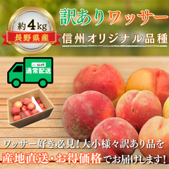 訳ありワッサー〜信州生まれの新食感フルーツ〜【内容量】約4kg【配送方法】クール配送【サイズ】ミックス【品目】ワッサー【品種】ミックス【産地】長野県【規格】ご家庭用B品【販売会社】有限会社青木