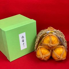 中川政七商店 一年安鯛精麻飾り 中川政七商店 一年安鯛精麻飾り - メルカリ