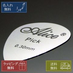 名入れ無料 ギターピック ステンレス シルバー メタル 0.3mm プレゼント ギフト 男性 女性