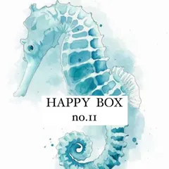 HAPPY BOX  no.11 🎁