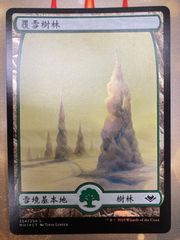 MTG 冠雪の森　中国語　繁体字　foil