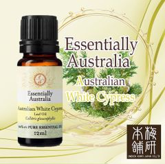 【梅研本舗】エッセンシャルオイル ホワイトサイプレス 12ml 天然 精油 100％ オーストラリア アロマディフューザー アロマオイル 【日本独占販売】