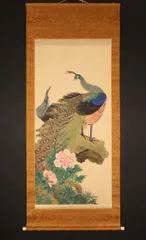 不詳/不詳/孔雀画詞/クジャク/布袋屋掛軸HE-484 不詳/不詳/孔雀画詞/クジャク/布袋屋掛軸HE-484