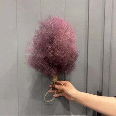 スモークツリー小束　赤系　ドライフラワー