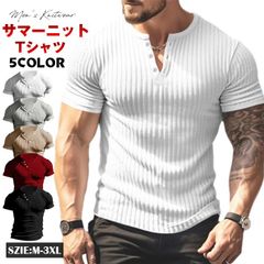 サマーニット メンズ ニットtシャツ 半袖 vネック 半袖ニット 特意 yifengyu51
