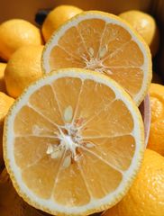 はるかみかん L 4.5kg 甘くて美味しい🍊