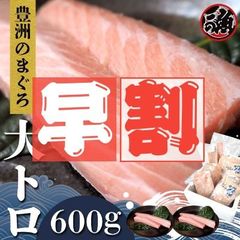 お歳暮早割 無添加 まぐろ大トロ　６００ｇ 豊洲 お刺身 海鮮 丼 マグロ