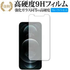 Apple iPhone12 pro max 専用 強化ガラス と 同等の 高硬度9H ブルーライトカット クリア光沢 改訂版 保護フィルム