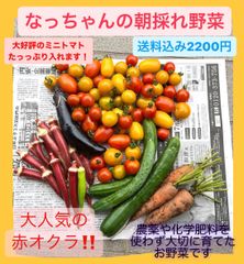 なっちゃんの朝採れ野菜【ミニトマトたっぷりセット】